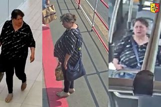 Žena do zverimexu v Praze přinesla tašku s mrtvými zvířaty, hledá ji policie - Novinky
